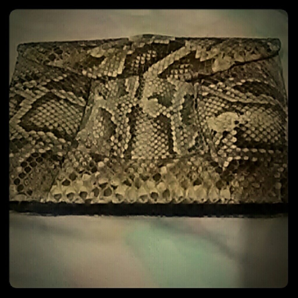 Snake skin purse
